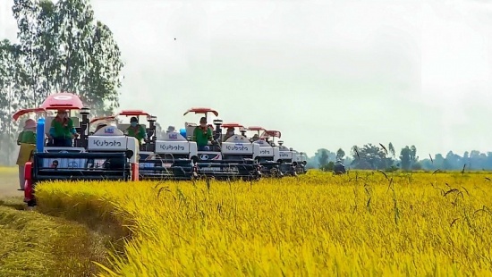 Festival Lúa gạo Việt Nam lần thứ 6: Cơ hội cấu trúc lại ngành hàng