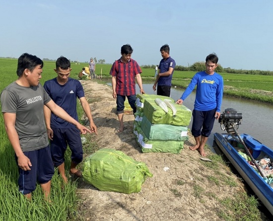 Mạnh tay với nạn bảo kê buôn lậu, gian lận thương mại