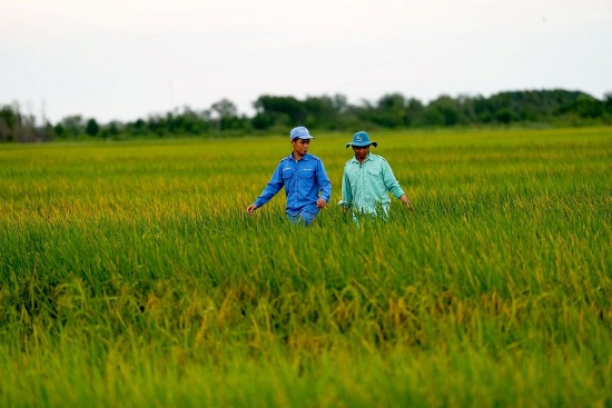 Nông dân hưởng lợi gì khi doanh nghiệp làm "net zero"