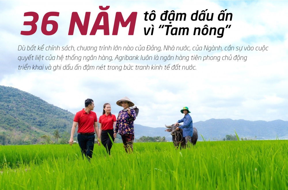 36 năm tô đậm dấu ấn “trụ đỡ” của nền kinh tế