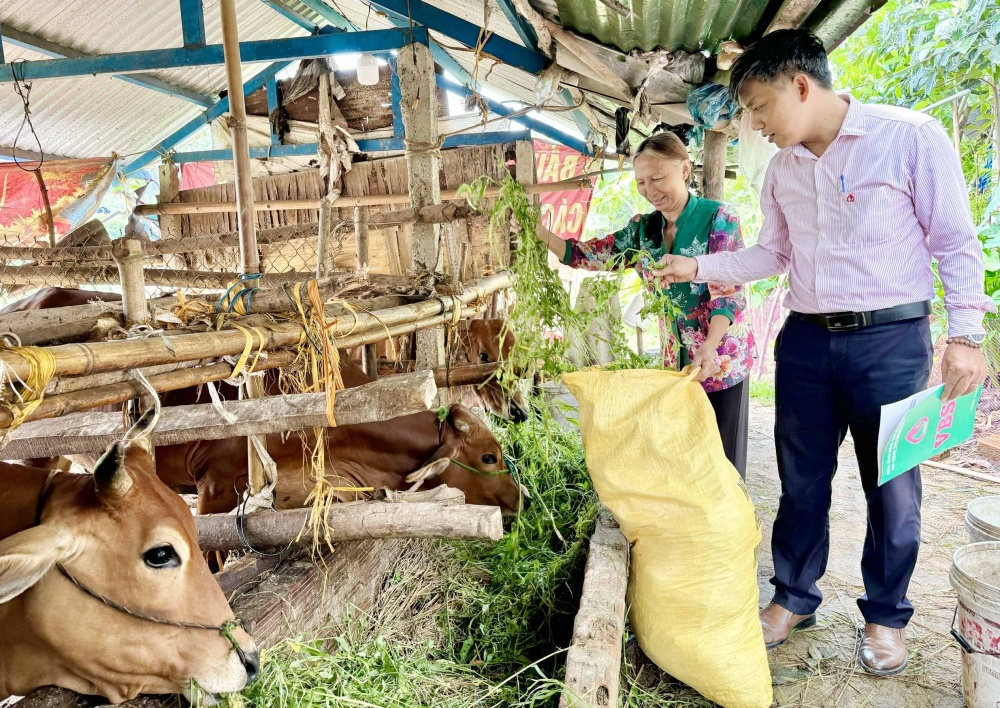 Mở hướng thoát nghèo ở Quảng Ngãi