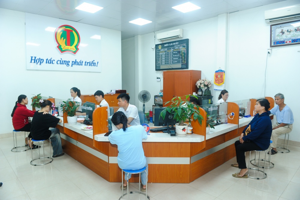 QTDND Ngọc Sơn (Thanh Hóa): Đổi mới để đồng hành cùng địa phương phát triển kinh tế