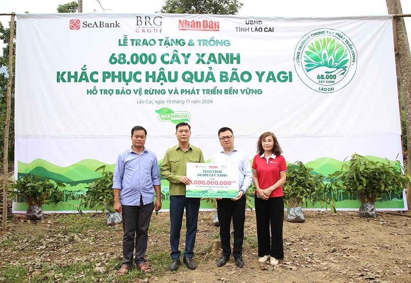 SeABank và Tập đoàn BRG trồng 68.000 cây phủ xanh gần 20ha rừng tại Lào Cai