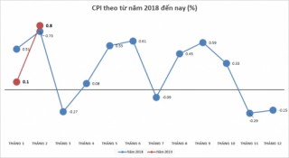 Tết Nguyên đán đẩy CPI tháng 2/2019 tăng đột biến