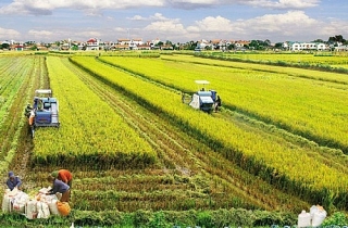 Đất nông nghiệp chiếm thời lượng lớn nhất trong dự thảo Luật Đất đai sửa đổi