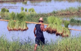 Chặng đường gian khó phía trước