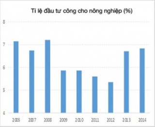 Nông nghiệp bền vững và an ninh lương thực: Đường nào cho Việt Nam?